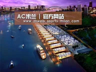 案例展示八