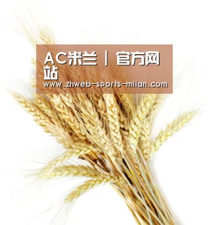 AC米兰 | 官方网站